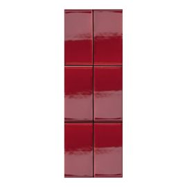 Sartoria Volumi Scivolo Rubino 7x13,5 cm glänzend